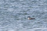 20211010_Alk_Texel
