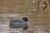 20211119_Wintertaling_Onlanden