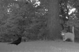 202106_Merel-Spinner_FL22