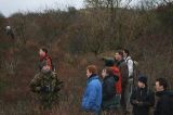 20070107_Blauwstaart_02