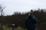 20070107_Blauwstaart_04