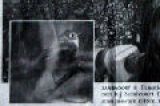 20070107_Blauwstaart_Artikel_Zandvoort_thumbnail