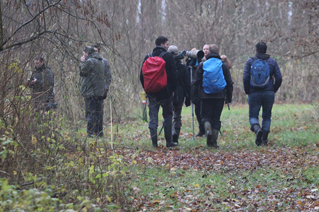20131207 vogelaars bij Swinhoes