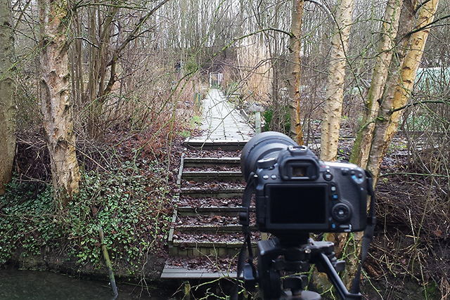 20150202 Camera bij Grijze Junco Groningen 2