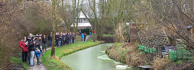 20150202 Vogelaars bij Grijze Junco Groningen 2