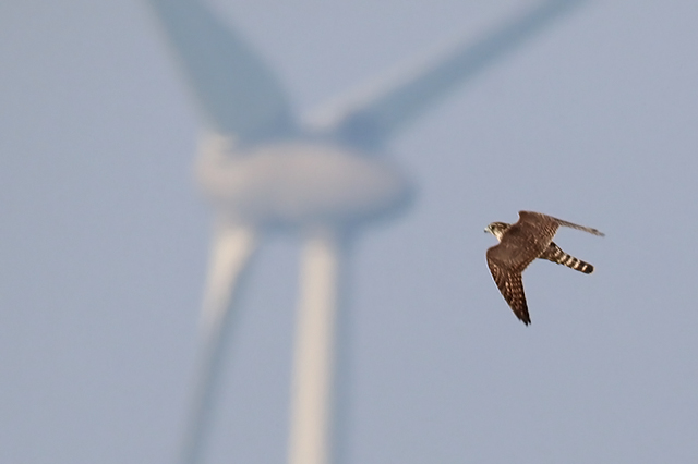 20151004 Smelleken Eemshaven