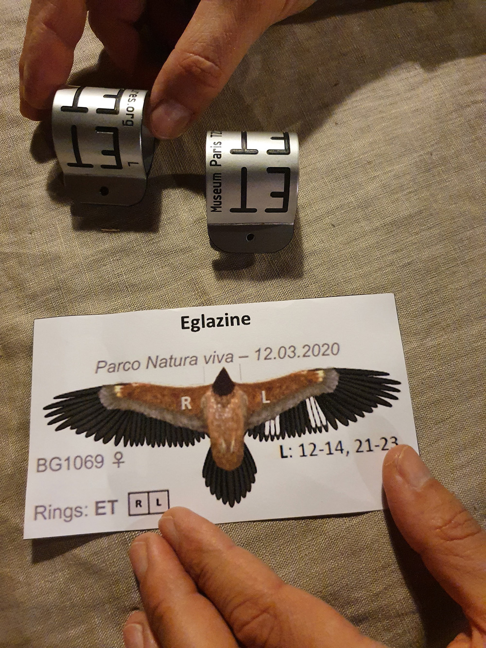 9 May 2021, Eglazine,