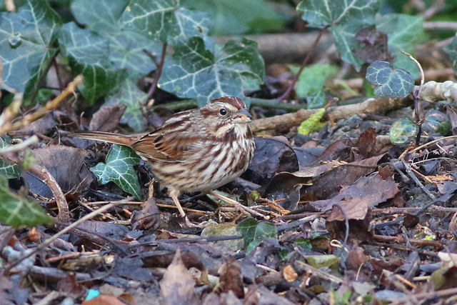 21 februari 2022, Zanggors, 06_Prosperdorp