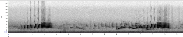 27 april 2026, Iberische Tjiftjaf, Norg-Sonogram