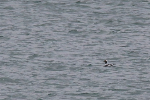 2 januari 2016, IJseend, Brouwersdam