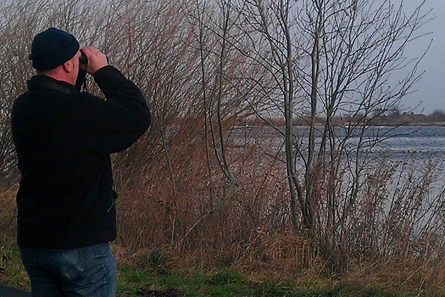 5 januari 2012, Kijkend, naar_Witkopeend_Reeuwijkse Plassen
