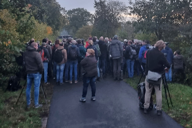 20221022 oploop in het donker bij de Geelbrauwgors Bunne