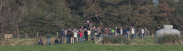 9 oktober 2010, Vogelaars bij de Balkanbaardgrasmus, Texel
