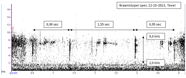 12 oktober 2013, Braamsluiper, call_Texel