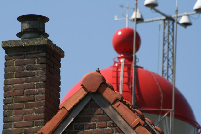 10 mei 2008, Alpenheggenmus, Vlieland_1