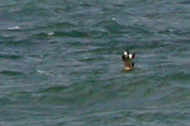 19 september 2004, Grote Jager, Noordzee