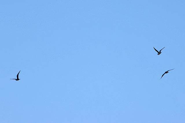 9 mei 2025, Kleine Jager, Ezumakeeg_02