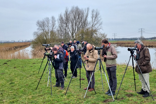 12 februari 2023, Kijkend naar de Siberische Waterpieper, Gravendeel
