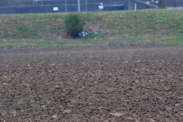 12 februari 2023, Kloeten kieken, Gravendeel