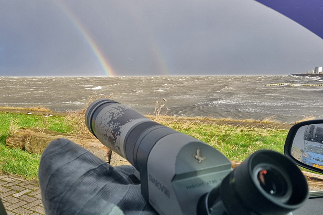 24 november 2023, Waarnemingsomstandigheden Stormvogeltje, Lauwersoog