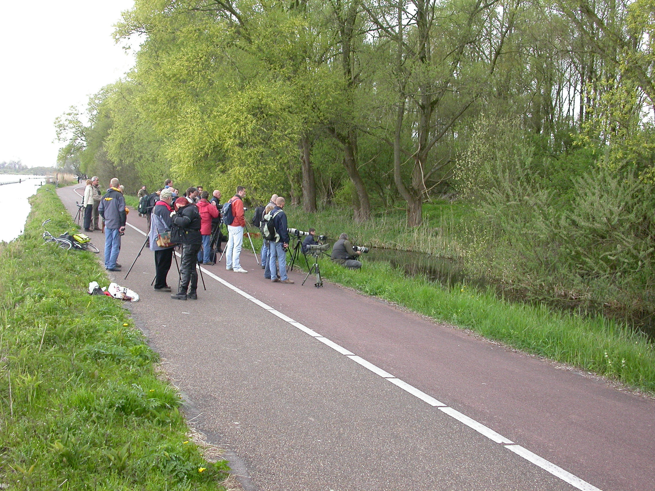 30 april 2006, Groene reiger, Amsterdam_6