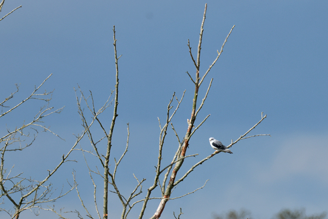 13 september 2025, Grijze Wouw, Peizerwold