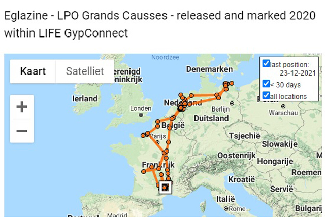 Eglazine verspreiding