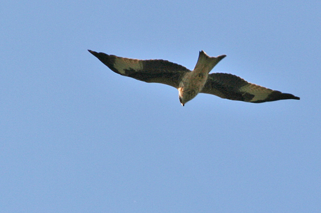 4 april 2007, Rode Wouw, FL22