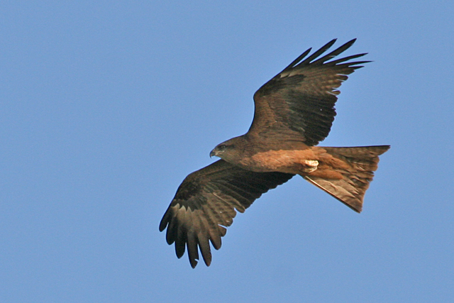 1 mei 2008, Zwarte Wouw, Eemshaven