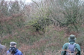 7 januari 2007, Blauwstaart, 03